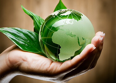 Wissen Sie, wie viel CO2 Sie mit den richtigen Druckprodukten sparen können?