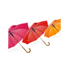 Regenschirm mit Holzgriff Stockschirm mit Echtholzgriff in Magenta, Rot und Orange.