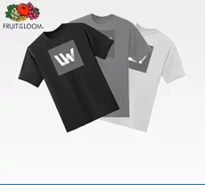 T-Shirt Herren farbig, Budget, Fruit of the Loom