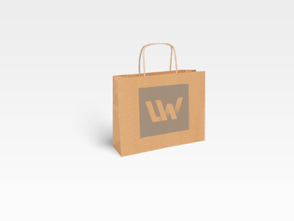 Papiertasche mit Kordeln, 25 x 21 x 9 cm